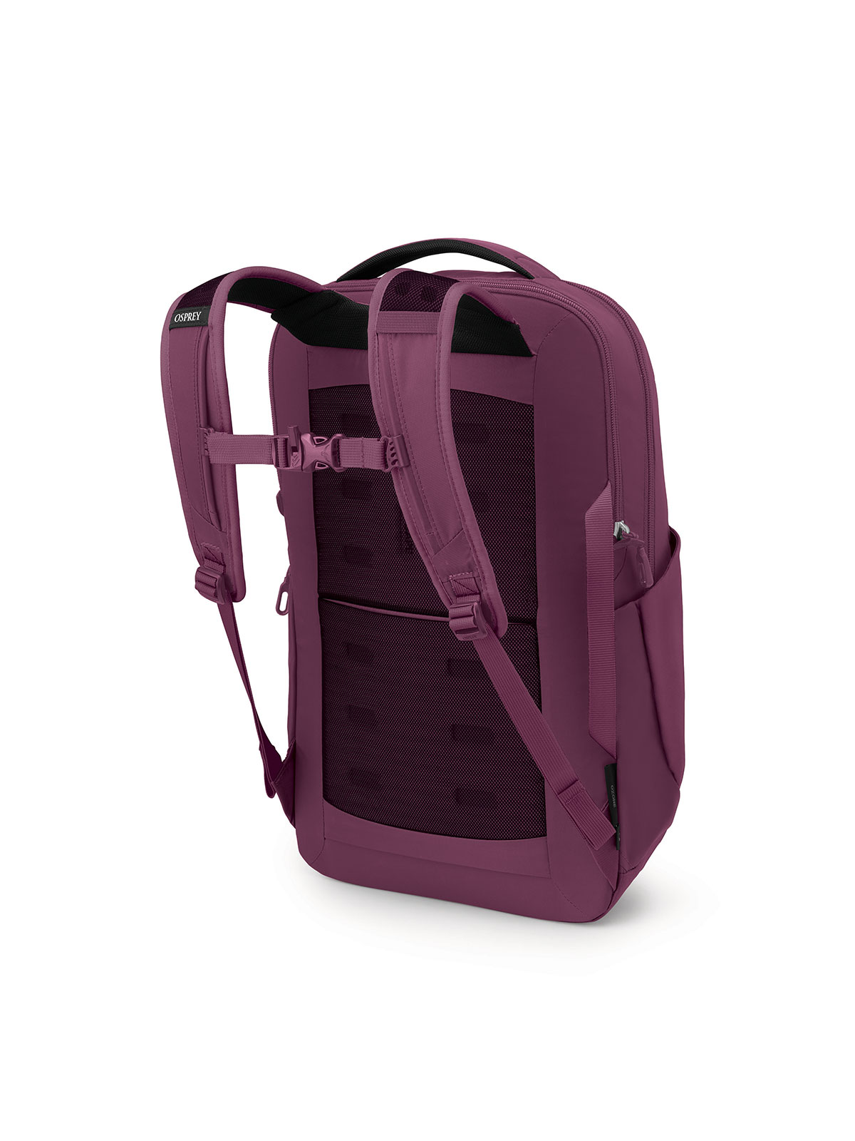 Ozone Laptop Backpack (18L)