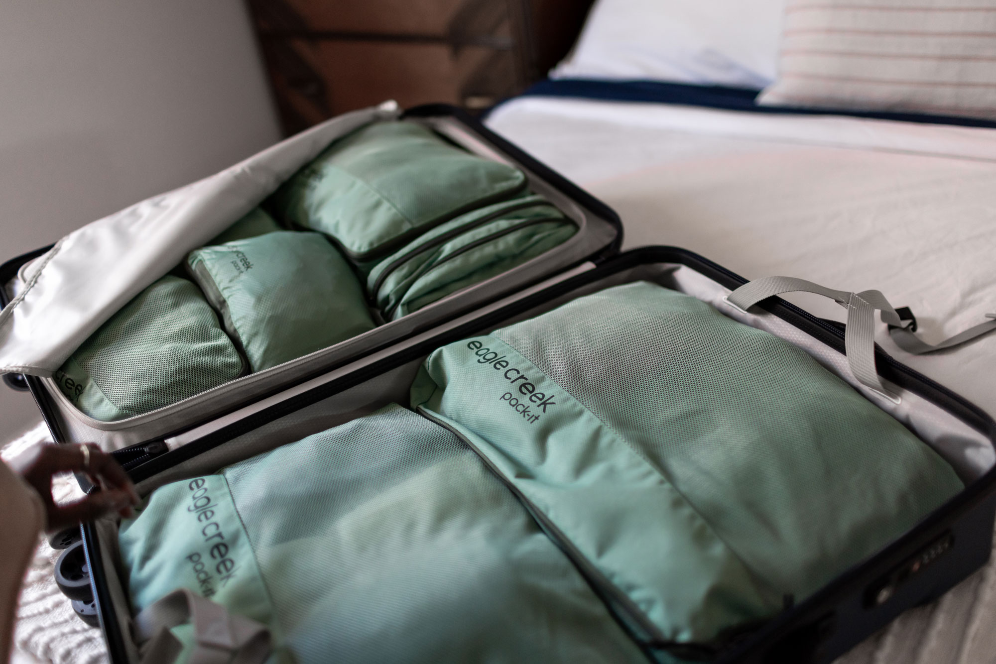 Pack-it Reveal Cube Medium