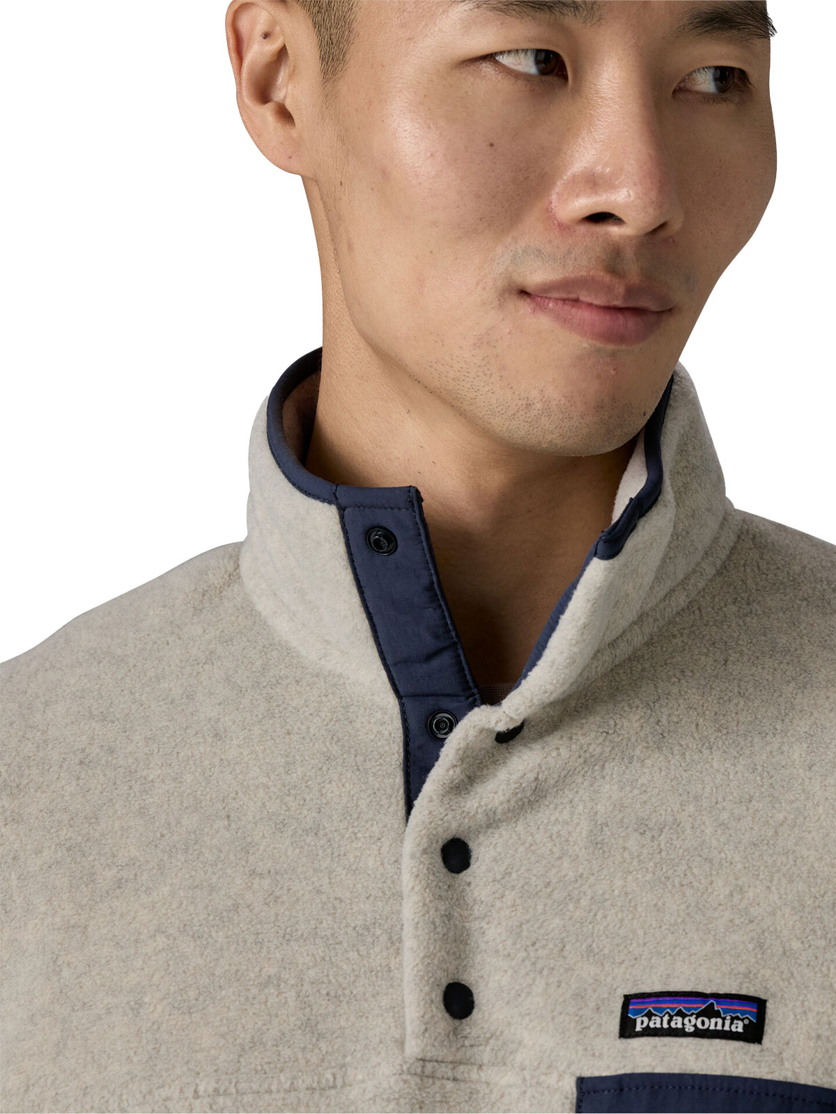 LW Synchilla Snap-T Pullover fleece (Herre)