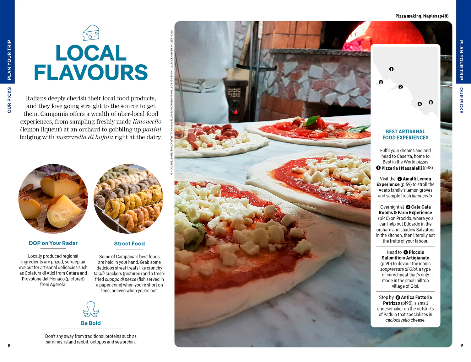 Naples, Pompeii & the Amalfi Coast Lonely Planet