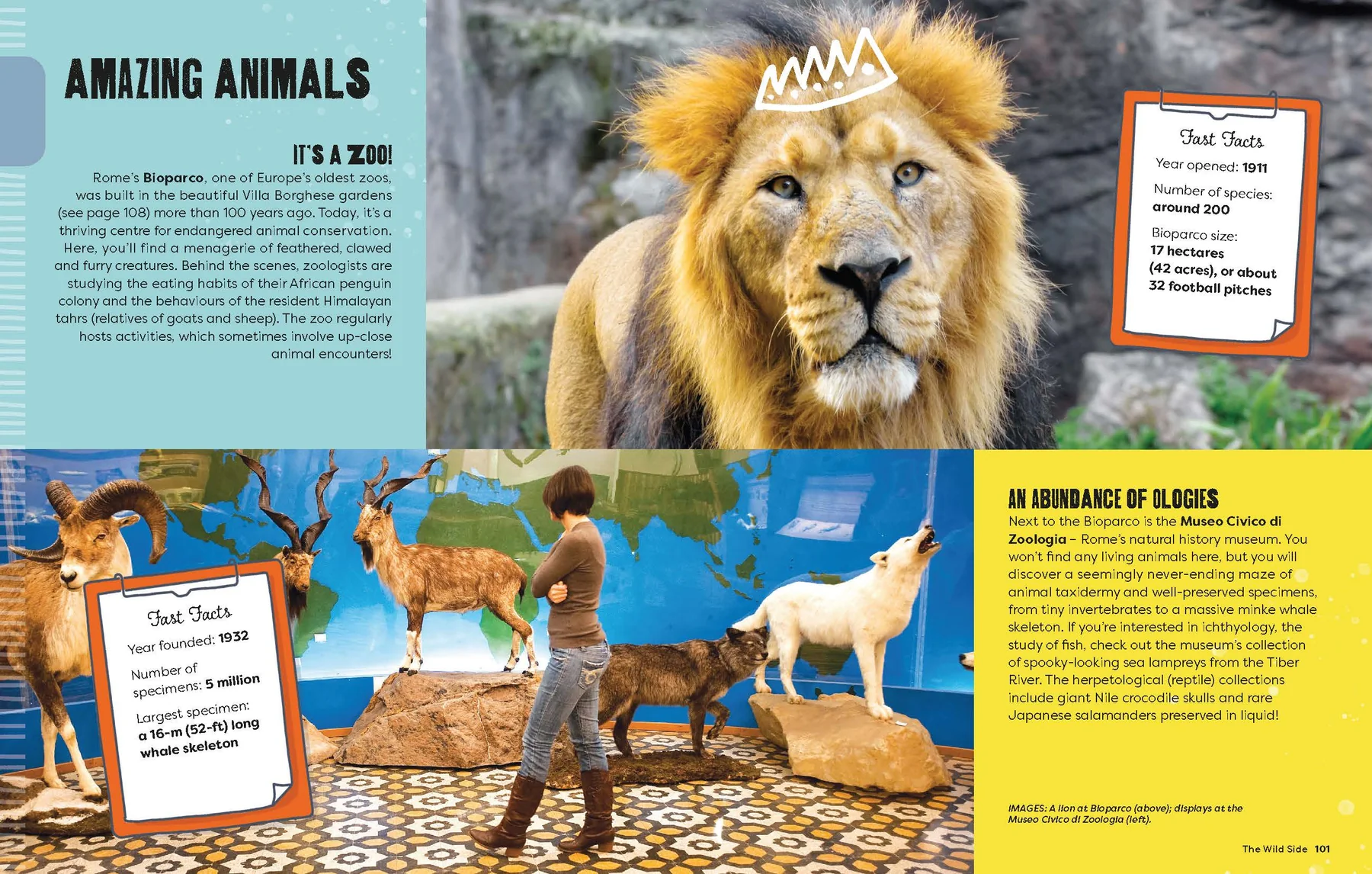 A Kids Guide to Rome