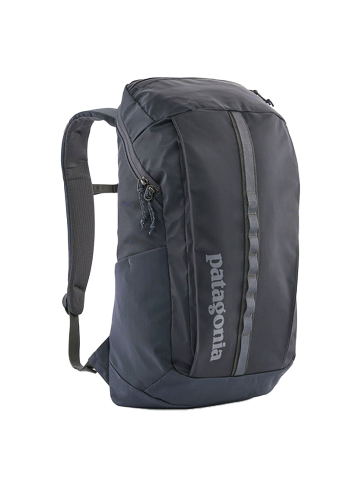 Patagonia Black Hole Pack 25 liter ryggsekk