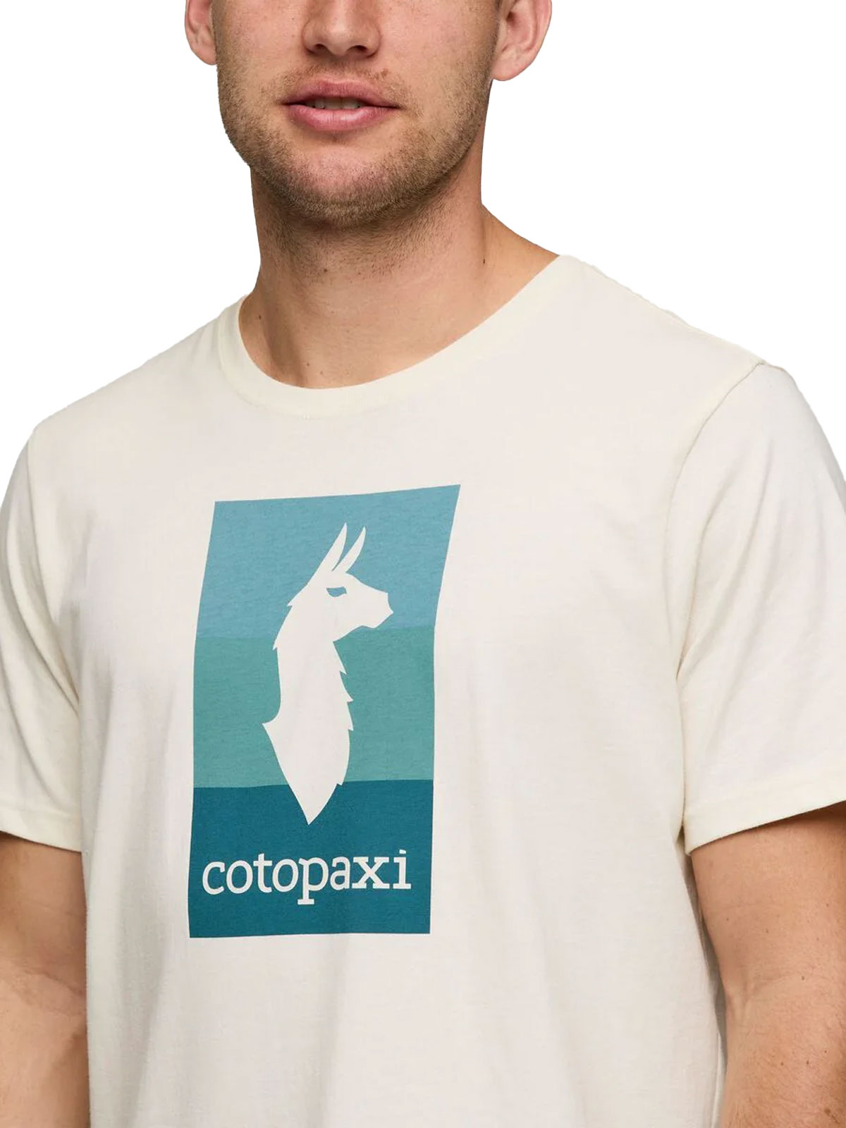 Llama Block T-skjorte (Herre)