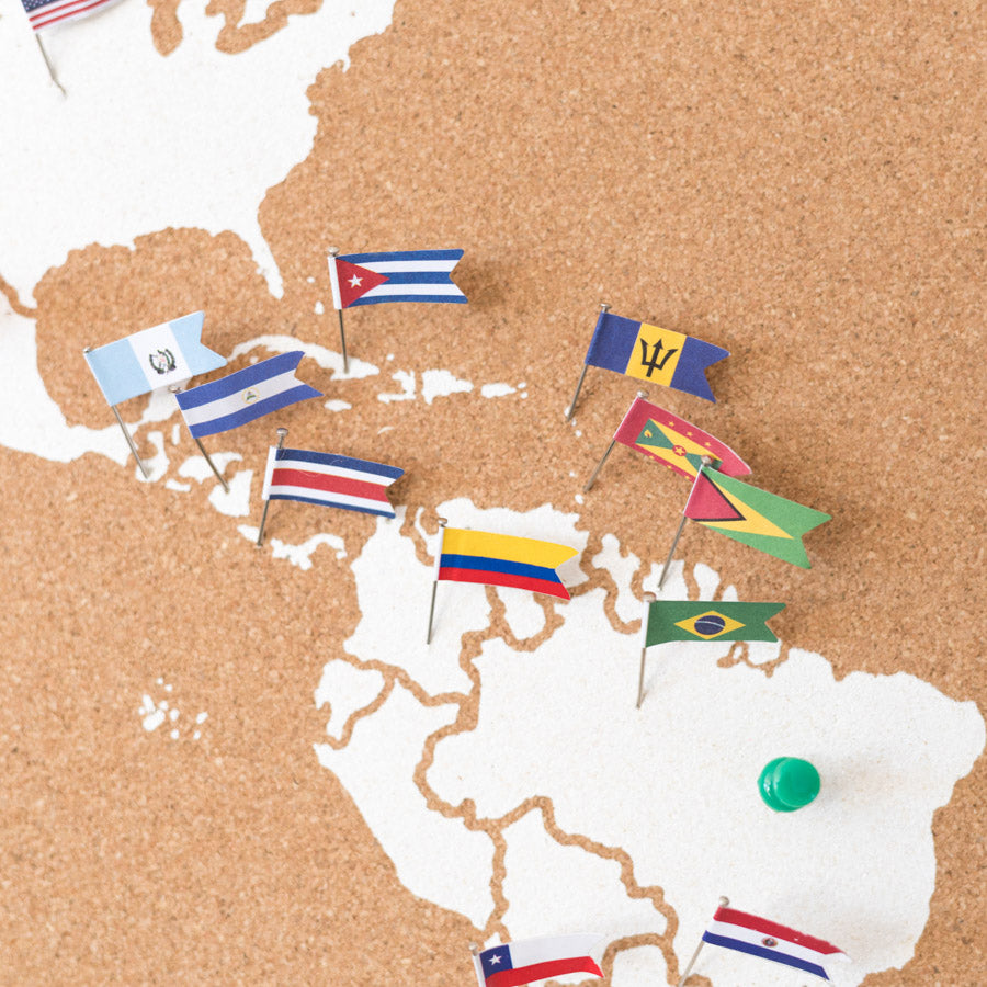 Flag Pins Asia & Oceania for Woody Maps