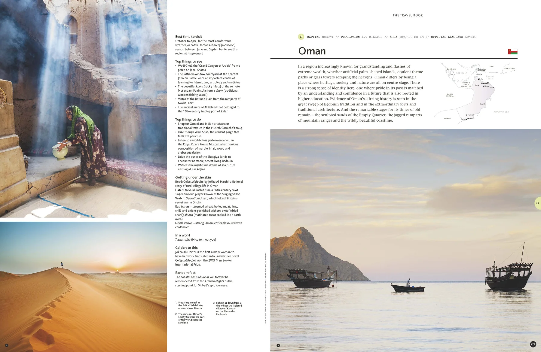 The Travel Book (paperback)