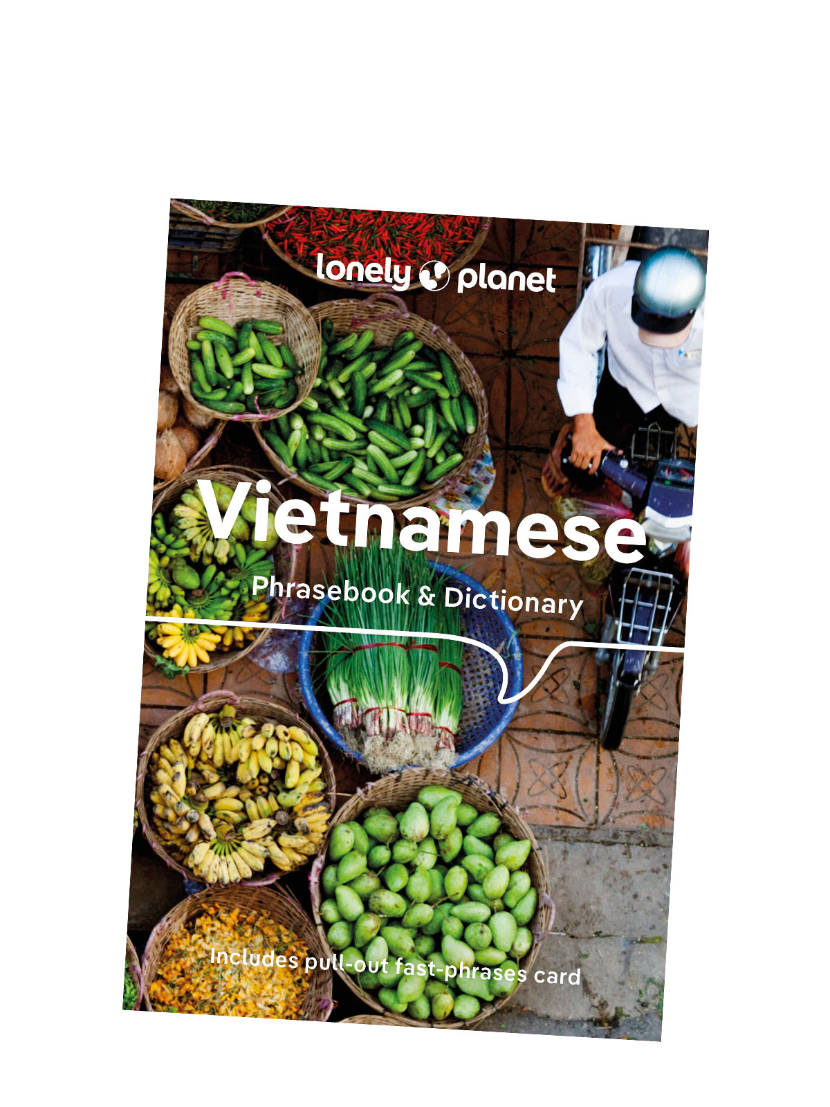 Vietnamese Phrasebook & Dictionary