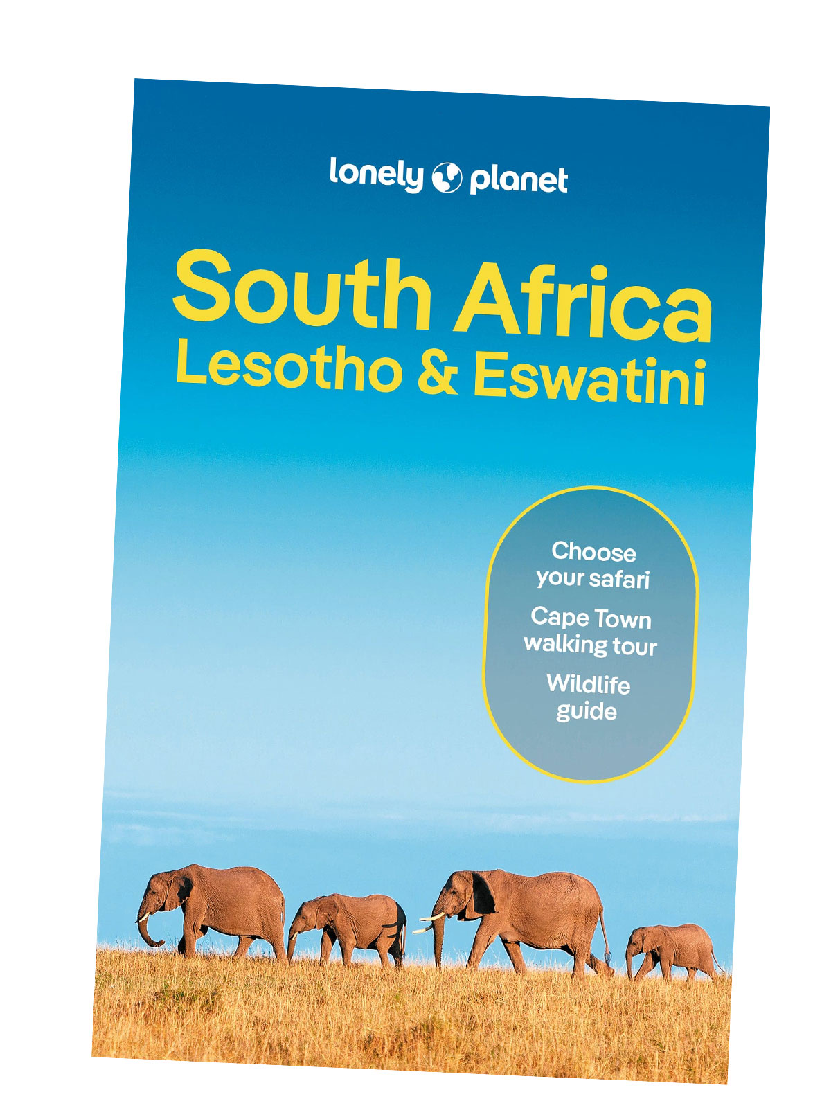 South Africa, Lesotho & Eswatini Lonely Planet