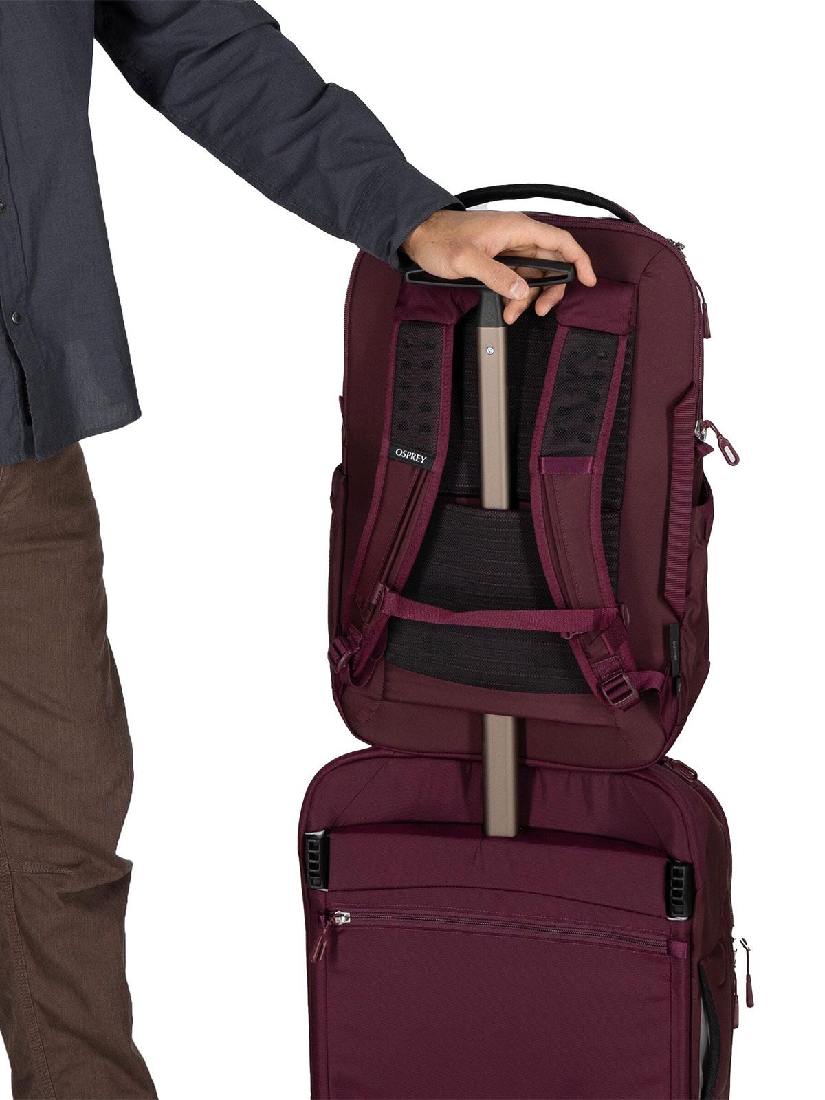 Ozone Laptop Backpack (18L)