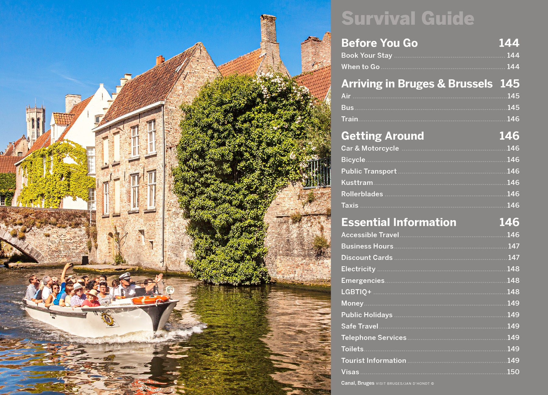 Pocket Bruges & Brussels