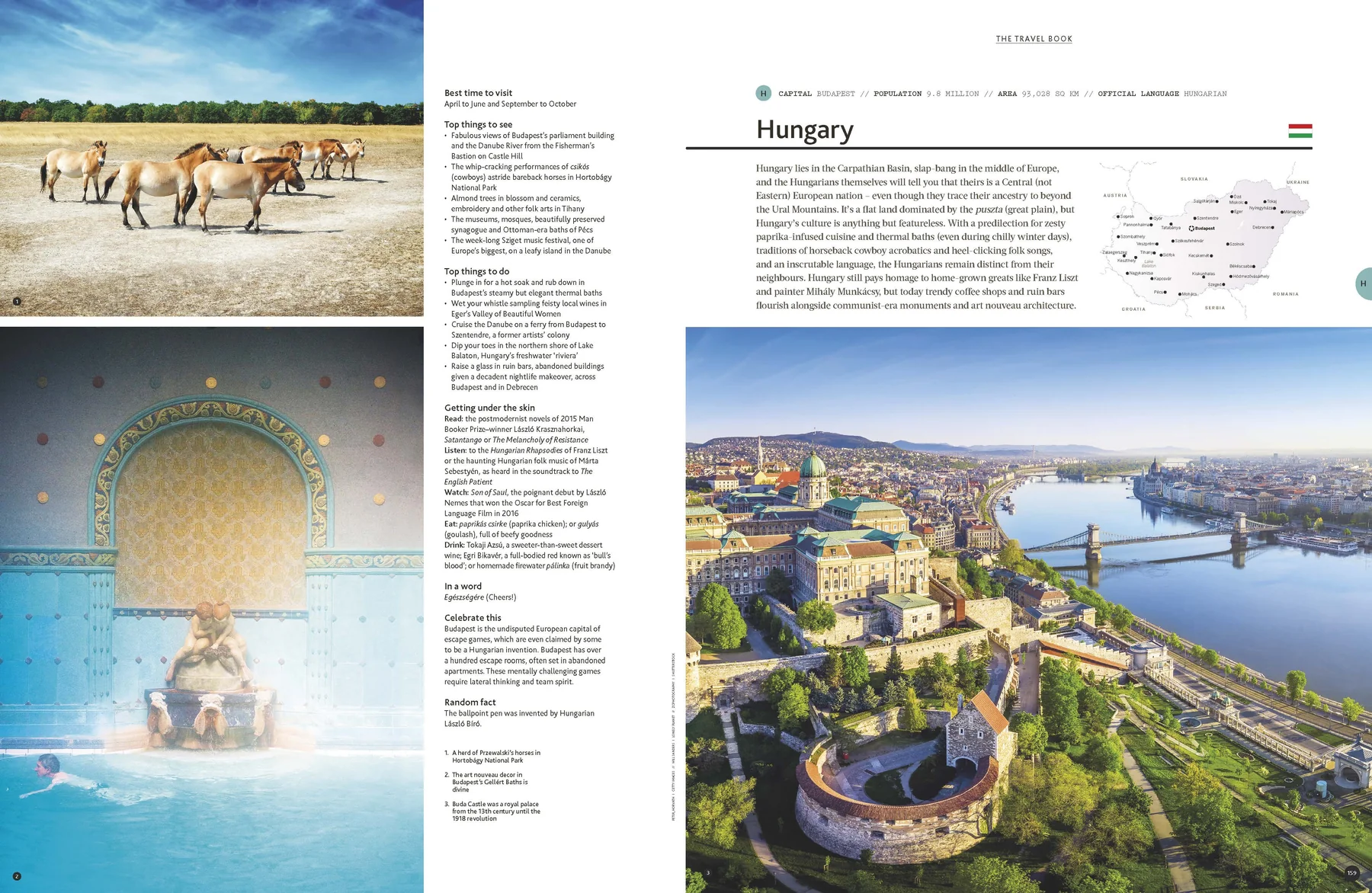 The Travel Book (paperback)