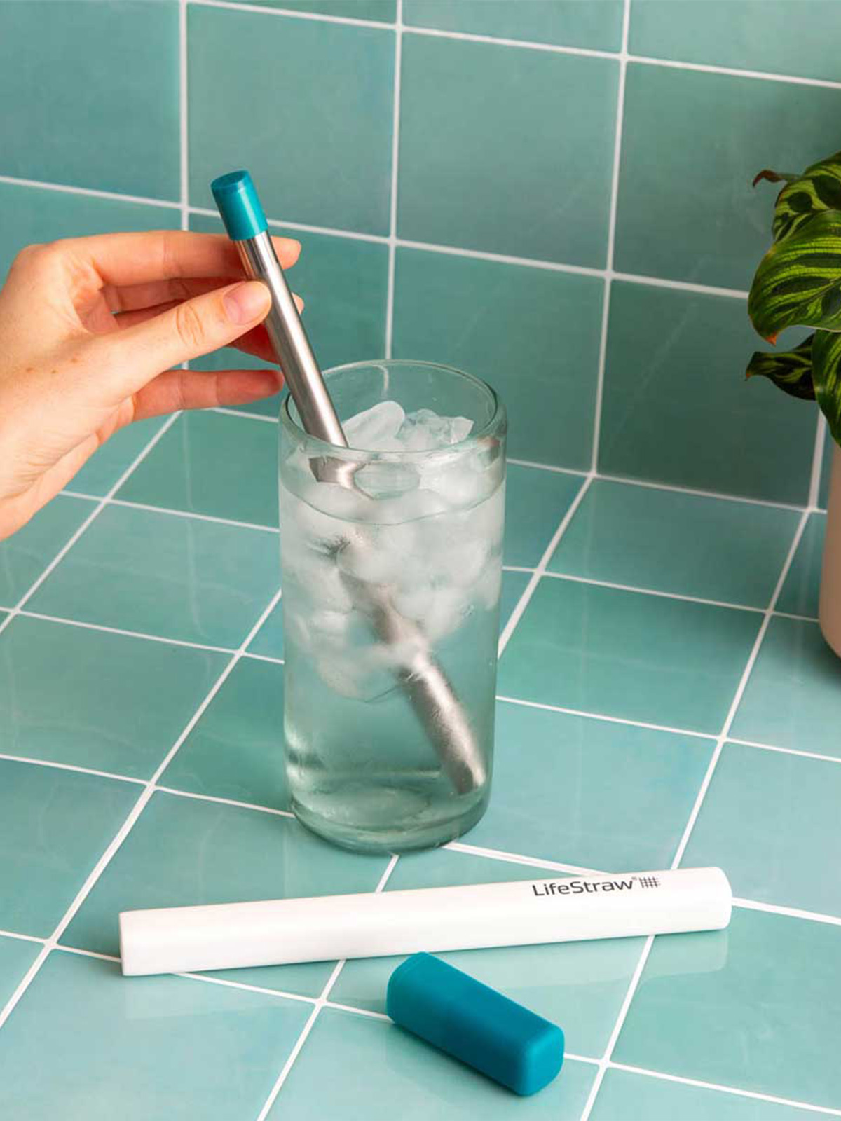 Sip Stainless Steel Filter Straw (1 piece)