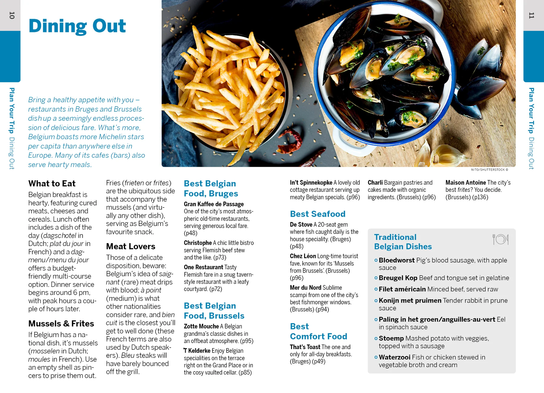 Pocket Bruges & Brussels