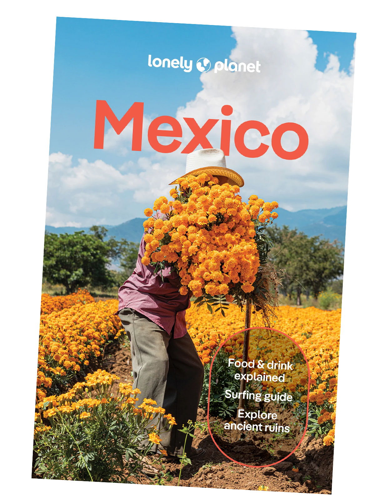 Mexico Lonely Planet