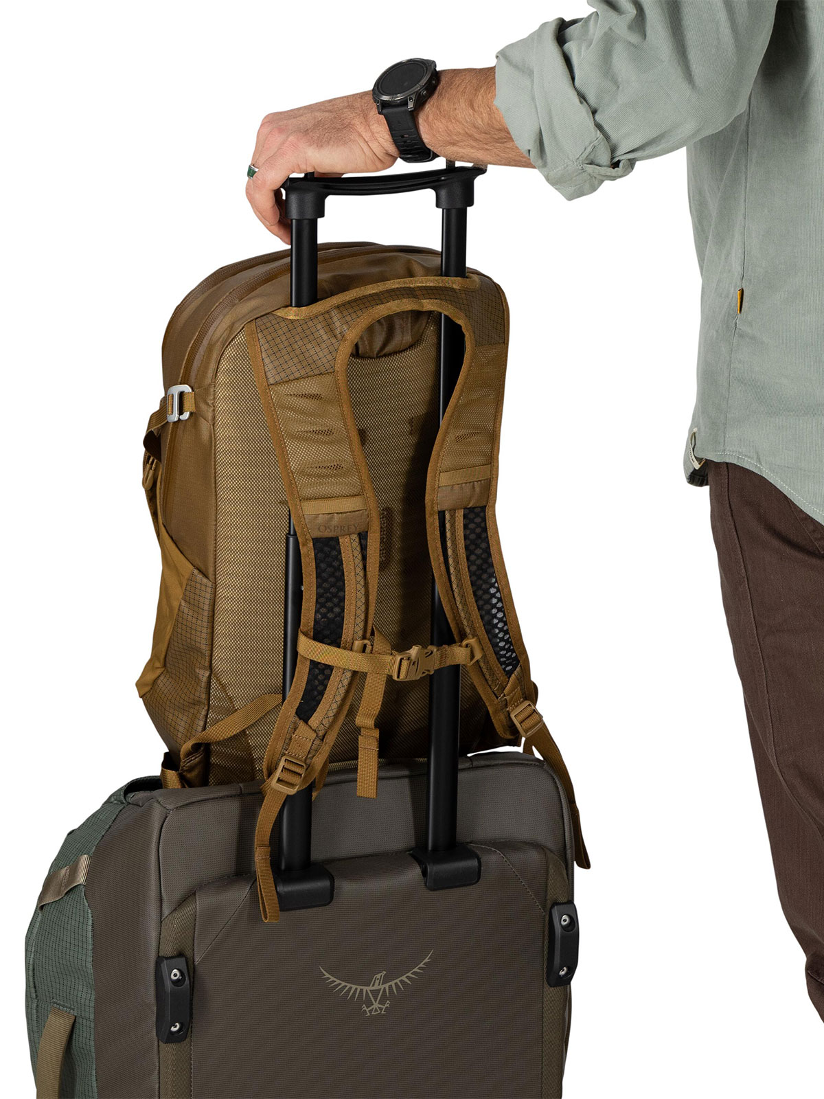 Daylite™ Plus (Limited Edition)