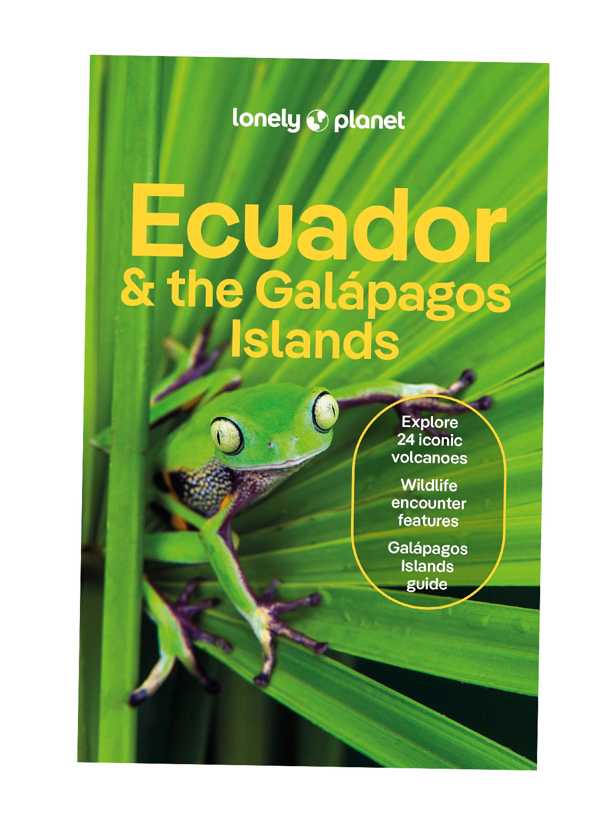 Ecuador & the Galapagos Islands Lonely Planet