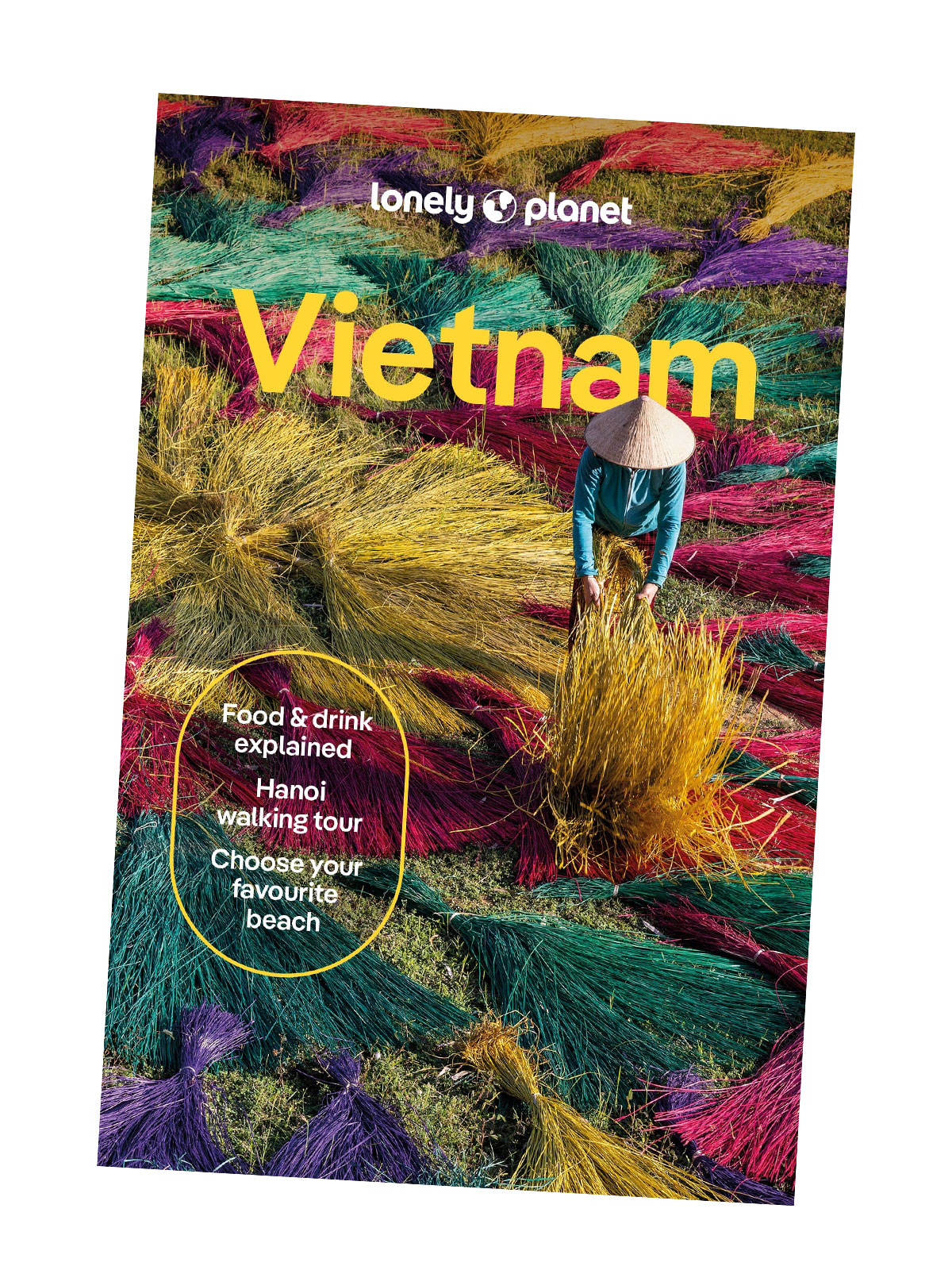 Vietnam Lonely Planet