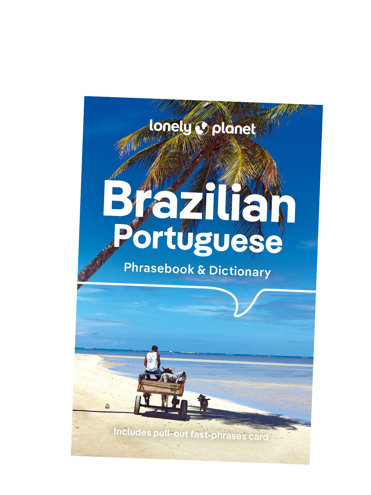 Brazilian Portuguese Phrasebook & Dictionary